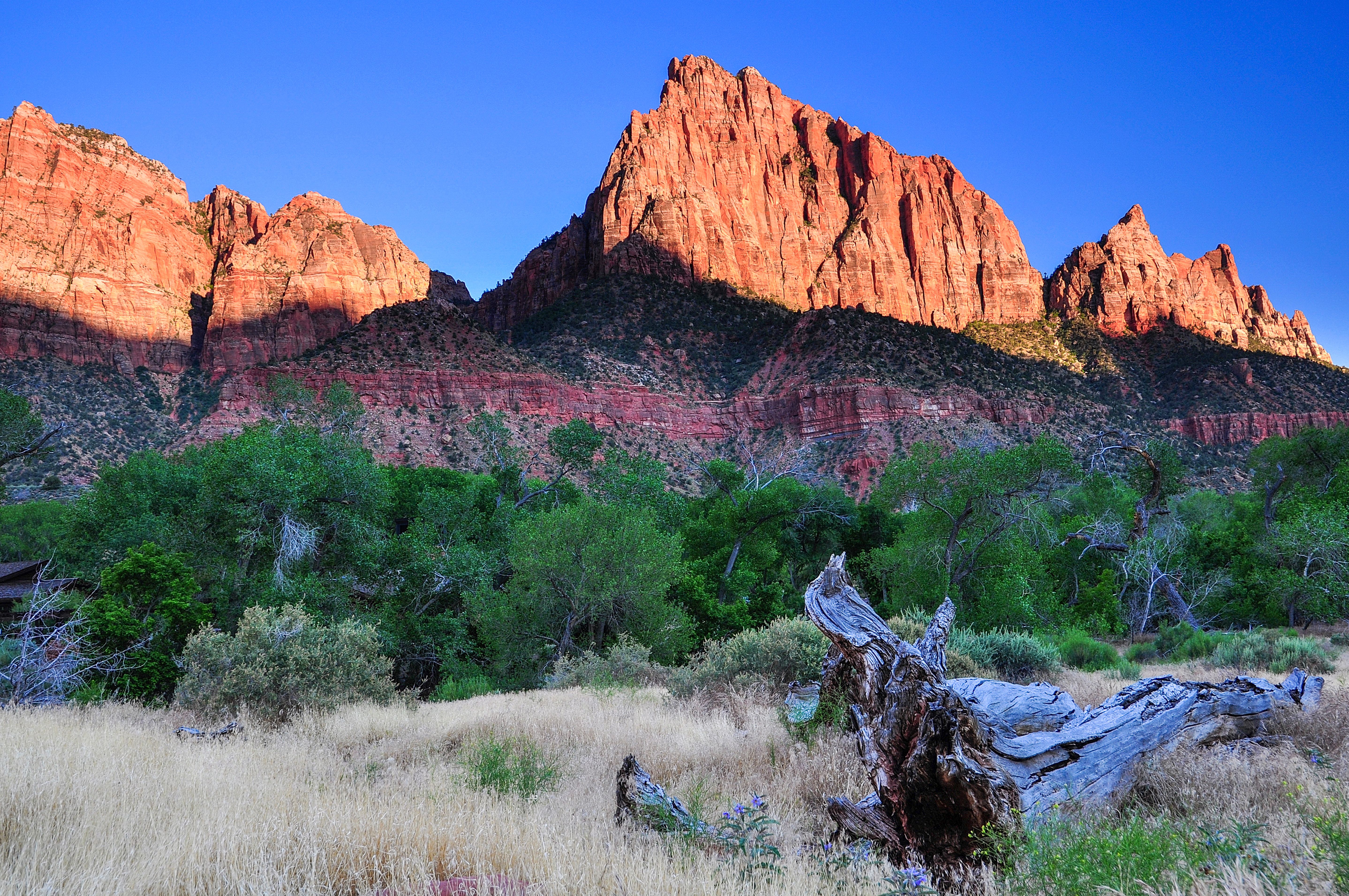 Utah red rock landscape — Zion National Park