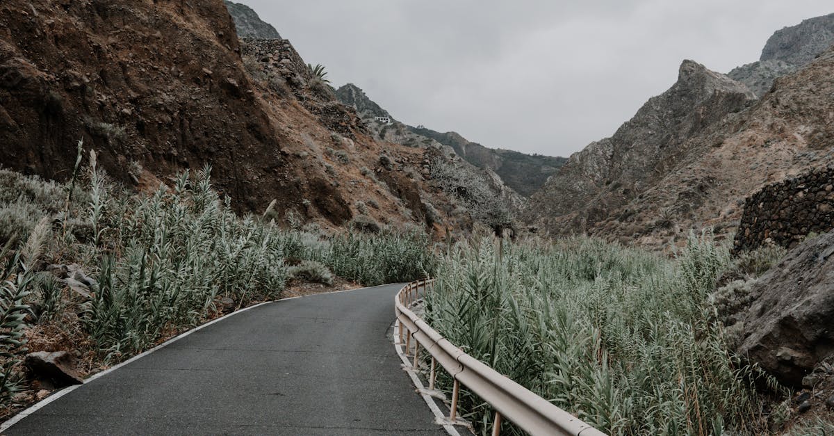 Viaje por Carretera: Las Mejores Rutas Low-Cost en España