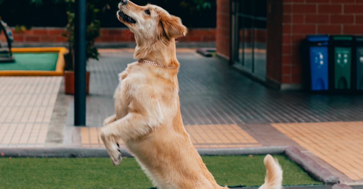 台灣首位生活型態醫學醫師蔡孟修專訪 從生活下處方 精準個人化又易實踐