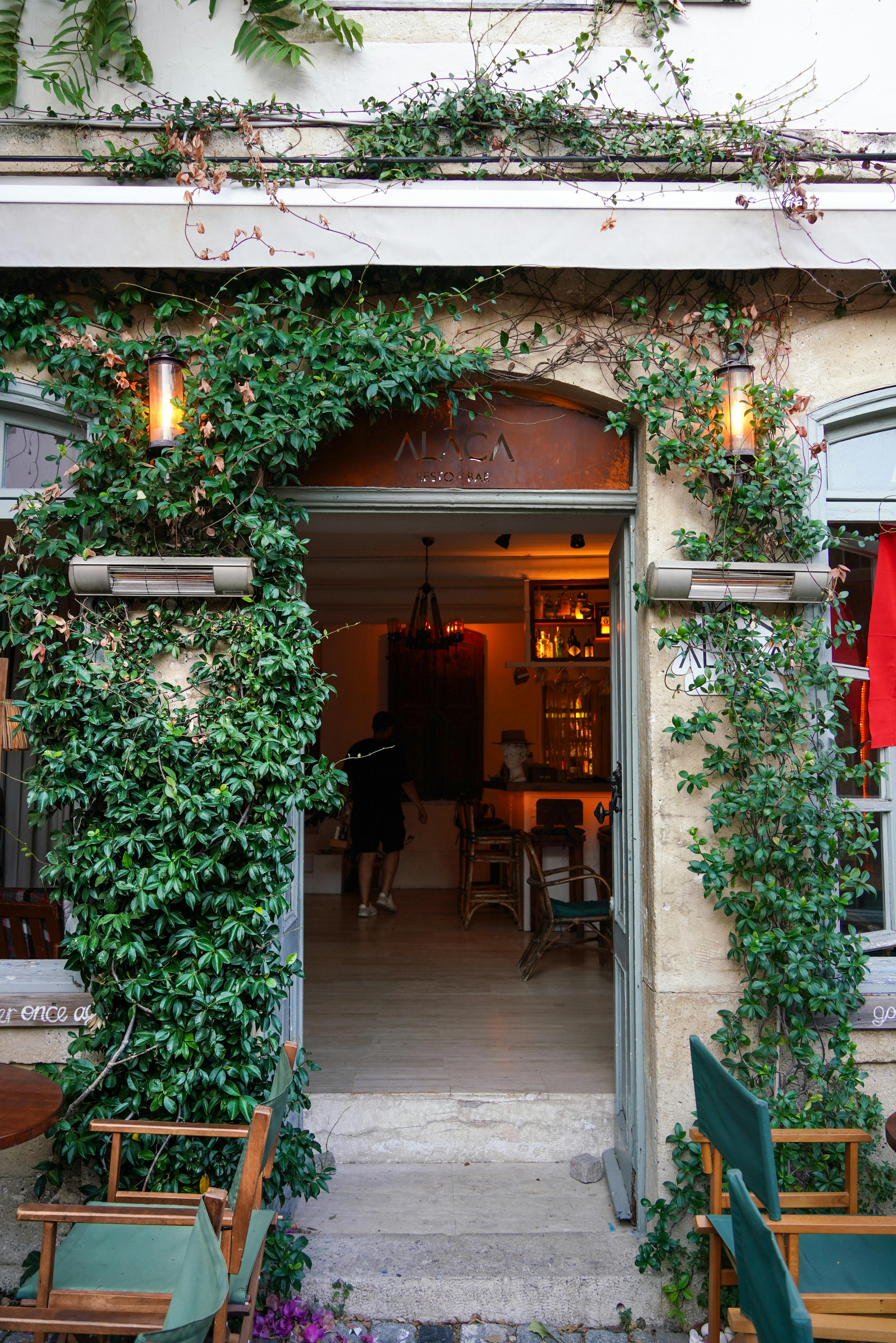 Inviting cafe entrance adorned with ivy and warm lighting, creating a cozy atmosphere.