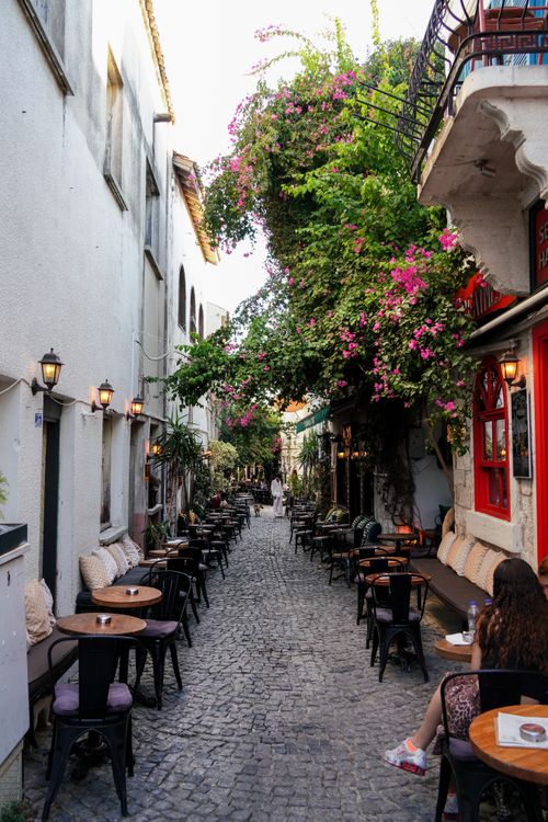 Free Picturesque cobblestone street with cafes and vibrant flowering vines. Stock Photo