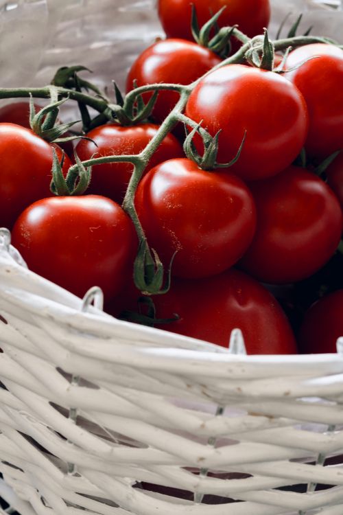 Free A close-up of fresh cherry tomatoes on vine in a wicker basket, perfect for culinary uses. Stock Photo