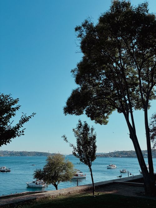 Free Peaceful lakeside view with boats and trees under a clear sky, ideal for relaxation. Stock Photo