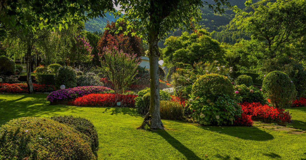 Les Bienfaits du Jardinage comme Anti Stress Naturel