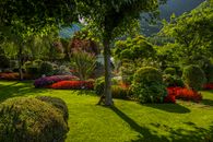 A beautiful garden with colorful flowers and lush greenery on a sunny day, perfect summer setting.