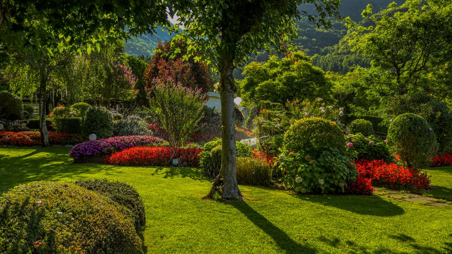 Landscaping Your Garden: Tips to Plan It Right
