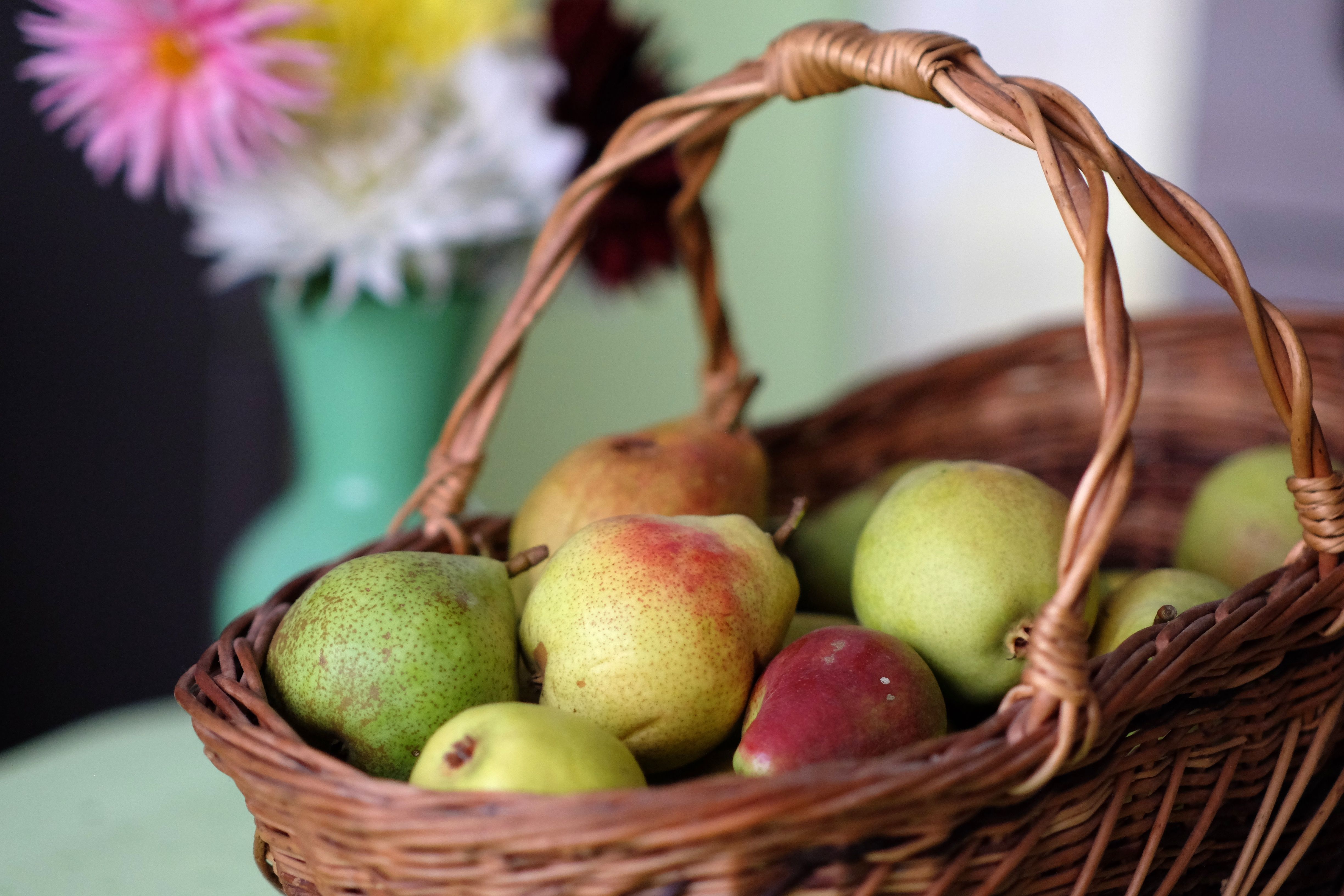 Blogging Bounty