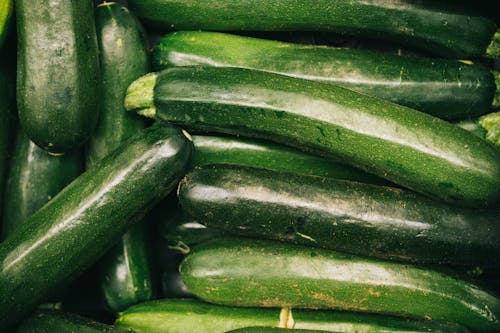 Gratis lagerfoto af afgrøder, courgette, ernæring