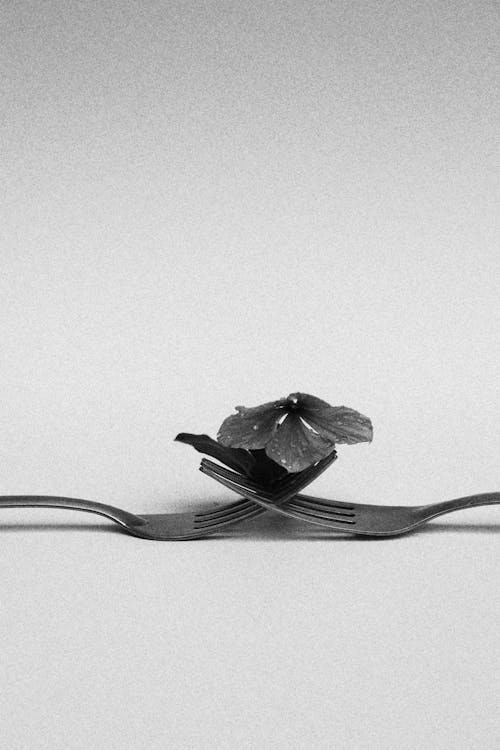 Kostnadsfri bild av gafflar, grå, grå yta