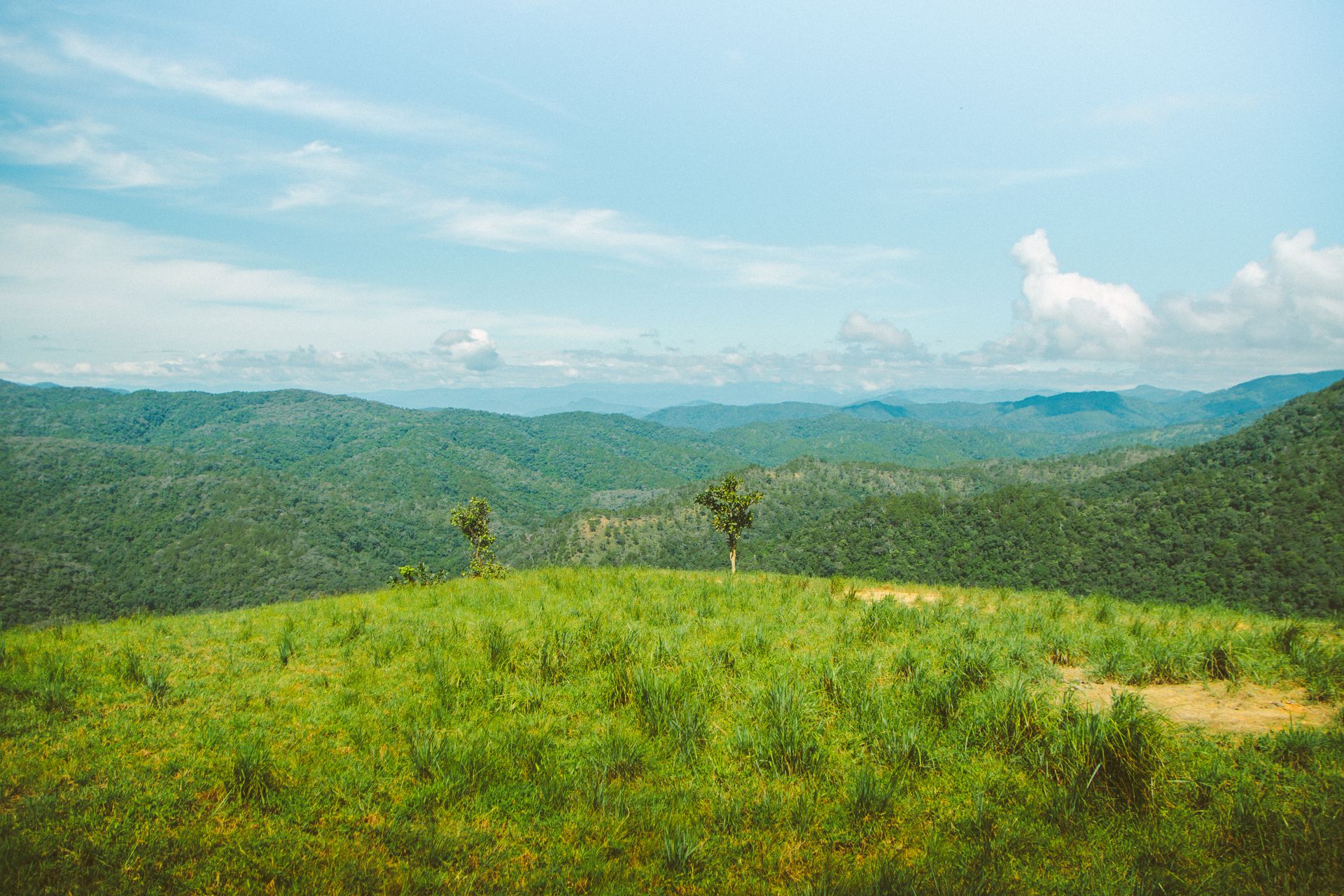 Breathtaking view of lush green hills under a clear blue sky in Lâm Đồng, Vietnam.