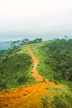 Vibrant green hills with a winding path under an overcast sky in Lâm Đồng, Vietnam, perfect for travel and nature themes.
