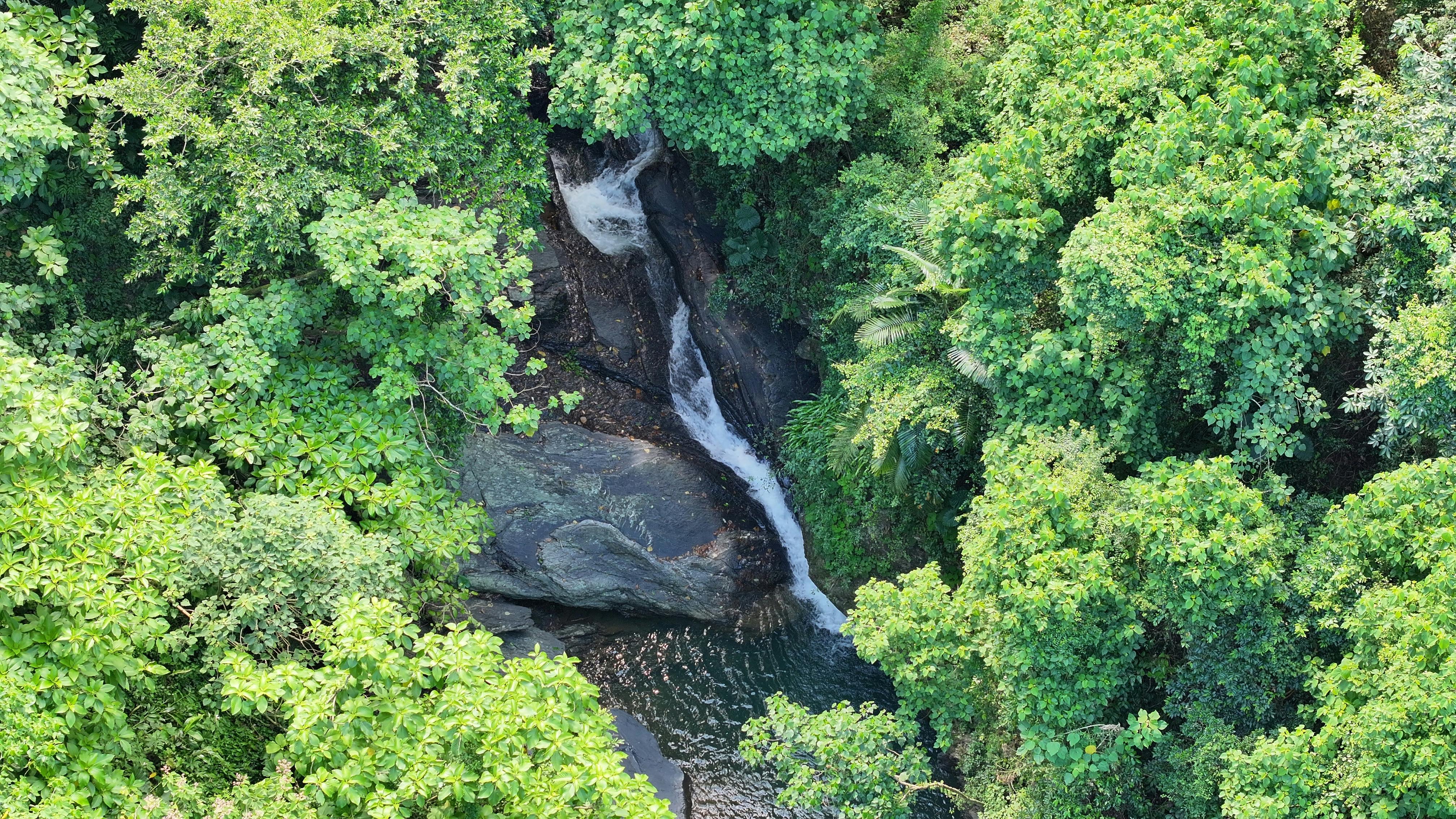 The Ultimate Guide to Tamil Web Series: 7 Hidden Gems You Can Stream on Tamildhooms.com