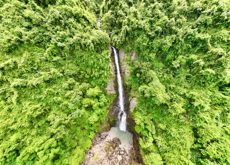 Best Victoria Falls Helicopter Tour Review: The Ultimate Flight of the Angels Experience Review 2026 - A stunning aerial view of a waterfall amidst lush green foliage.