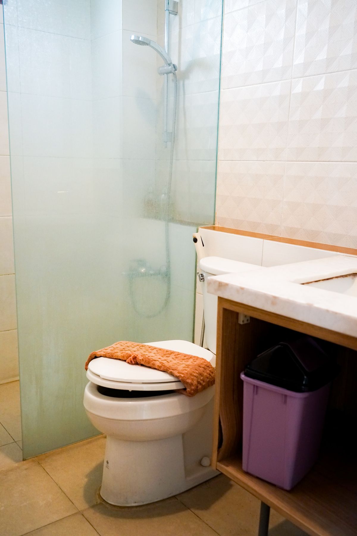 Bright bathroom featuring a toilet, glass shower, and sink with a countertop. Illustrative editorial photograph.