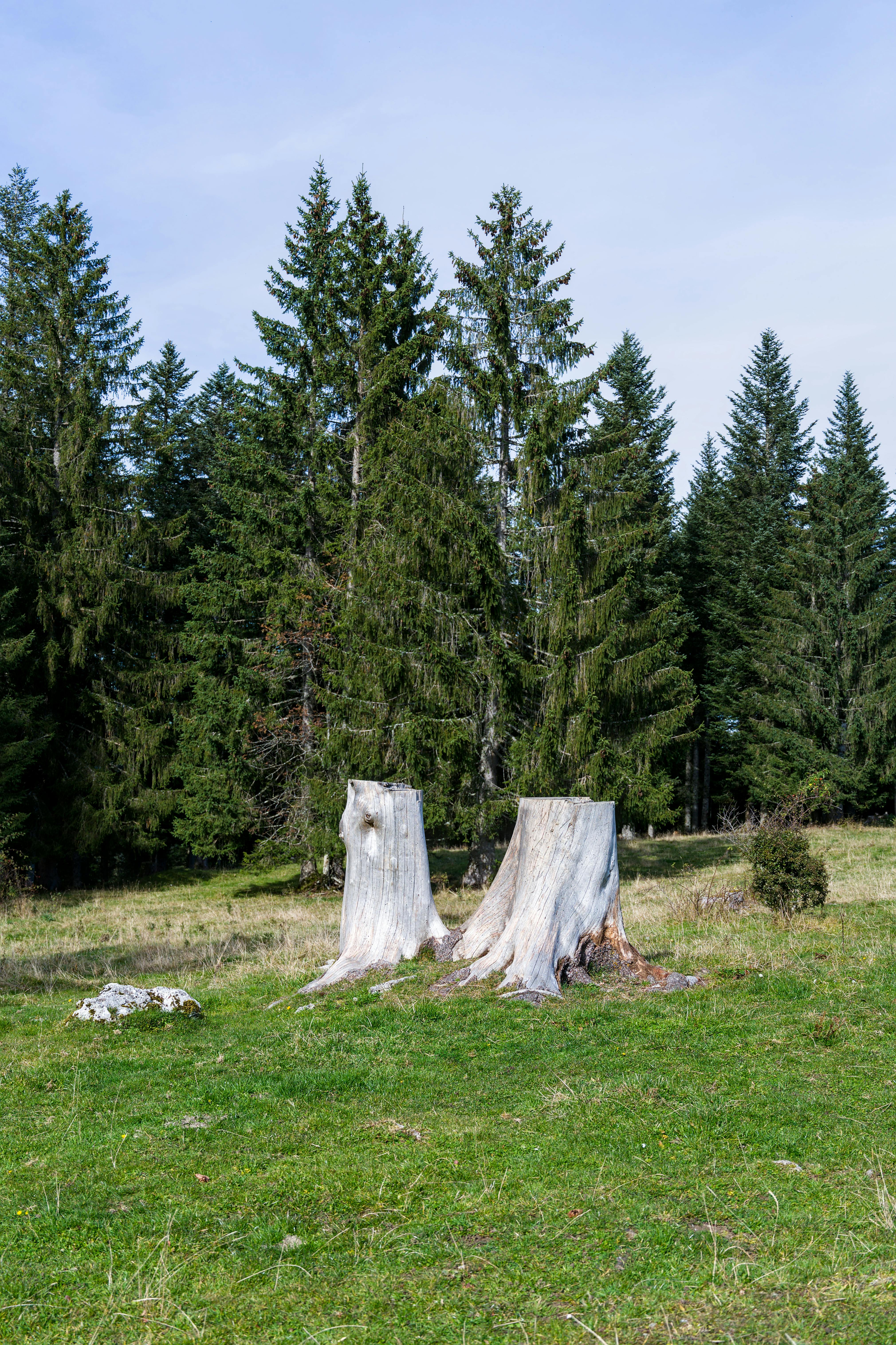 과메기 소스의 조화 인포그래픽