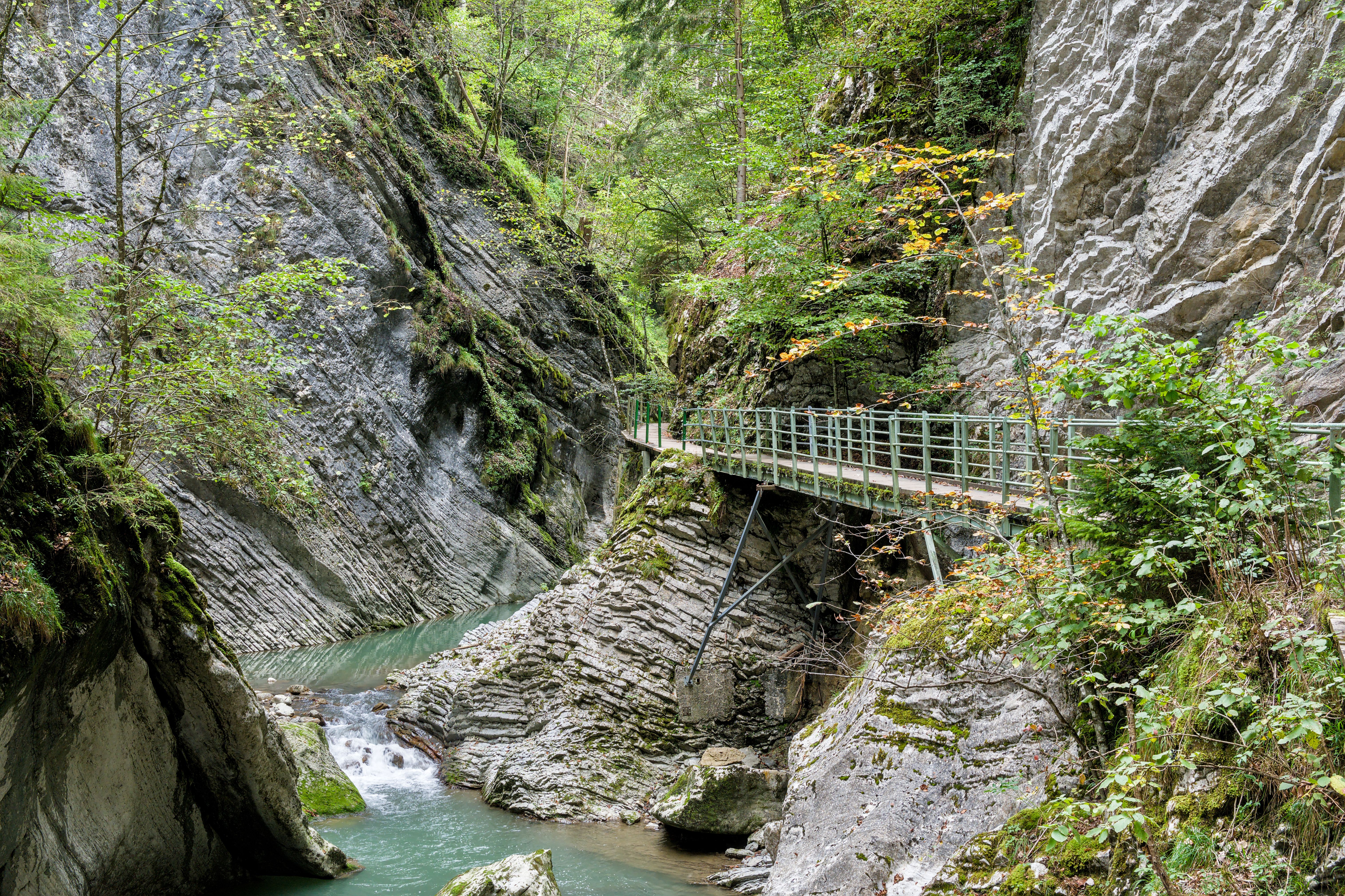 Foz de Lumbier & Irati River Gorge Walk