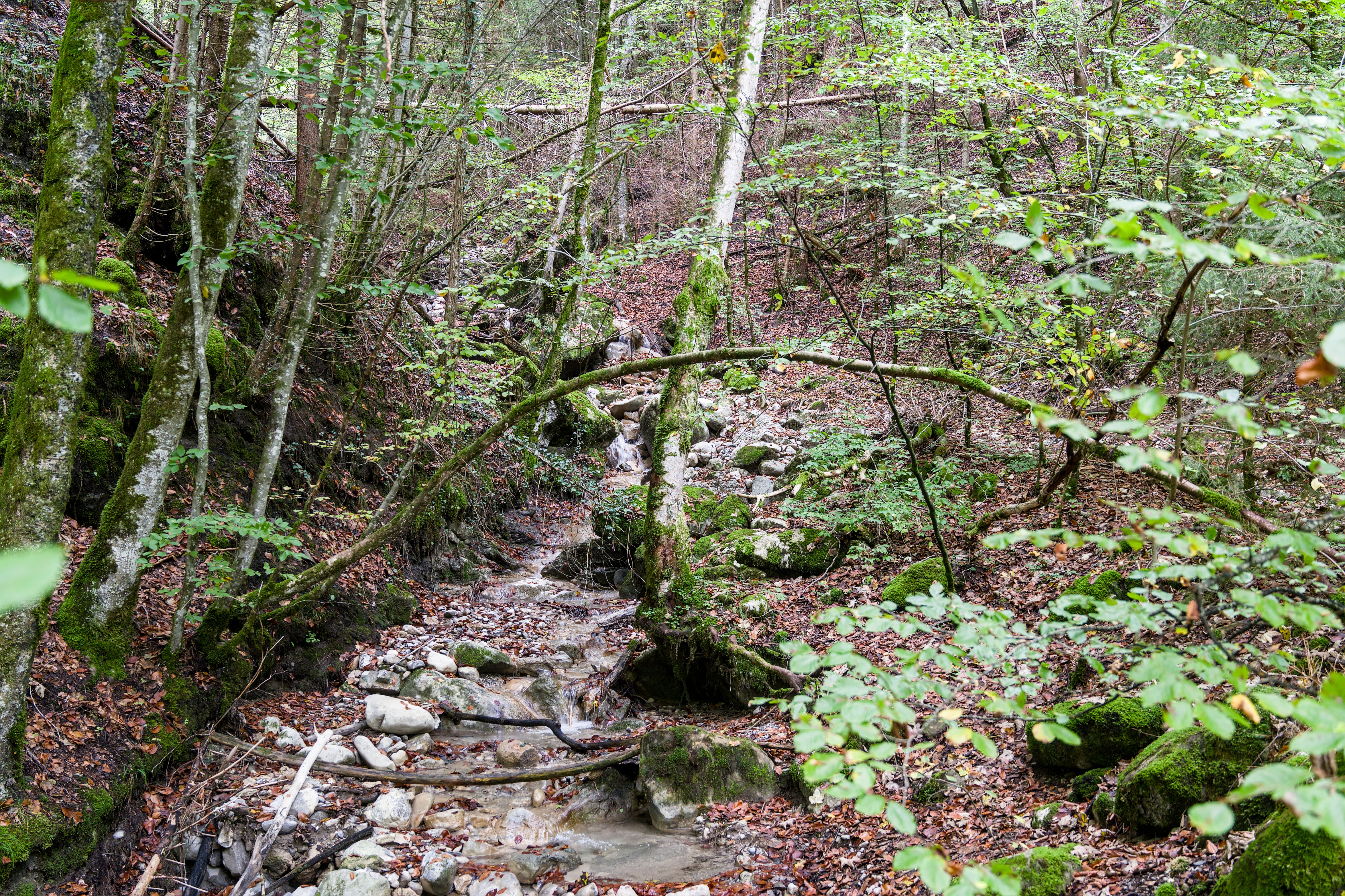 Herausfordernder Bergpfad mit steinigem Untergrund