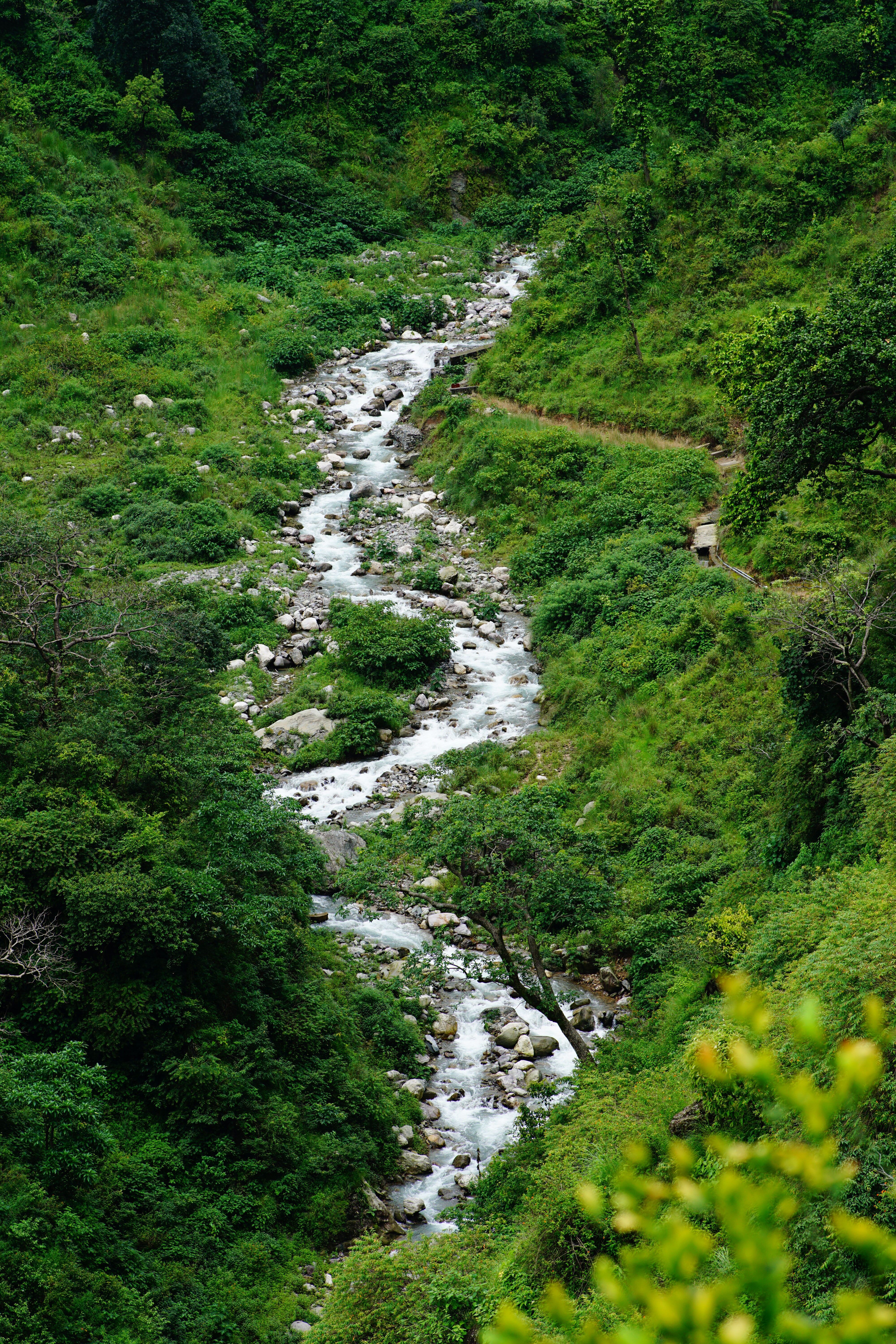 A tranquil mountain stream winding through a lush green valley, showcasing nature's beauty.