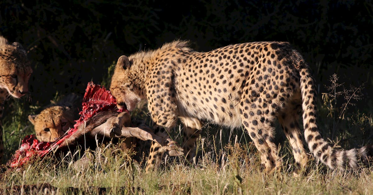 陽明展現冷鏈運輸整合創新技術 亞洲國際果蔬展大放異彩