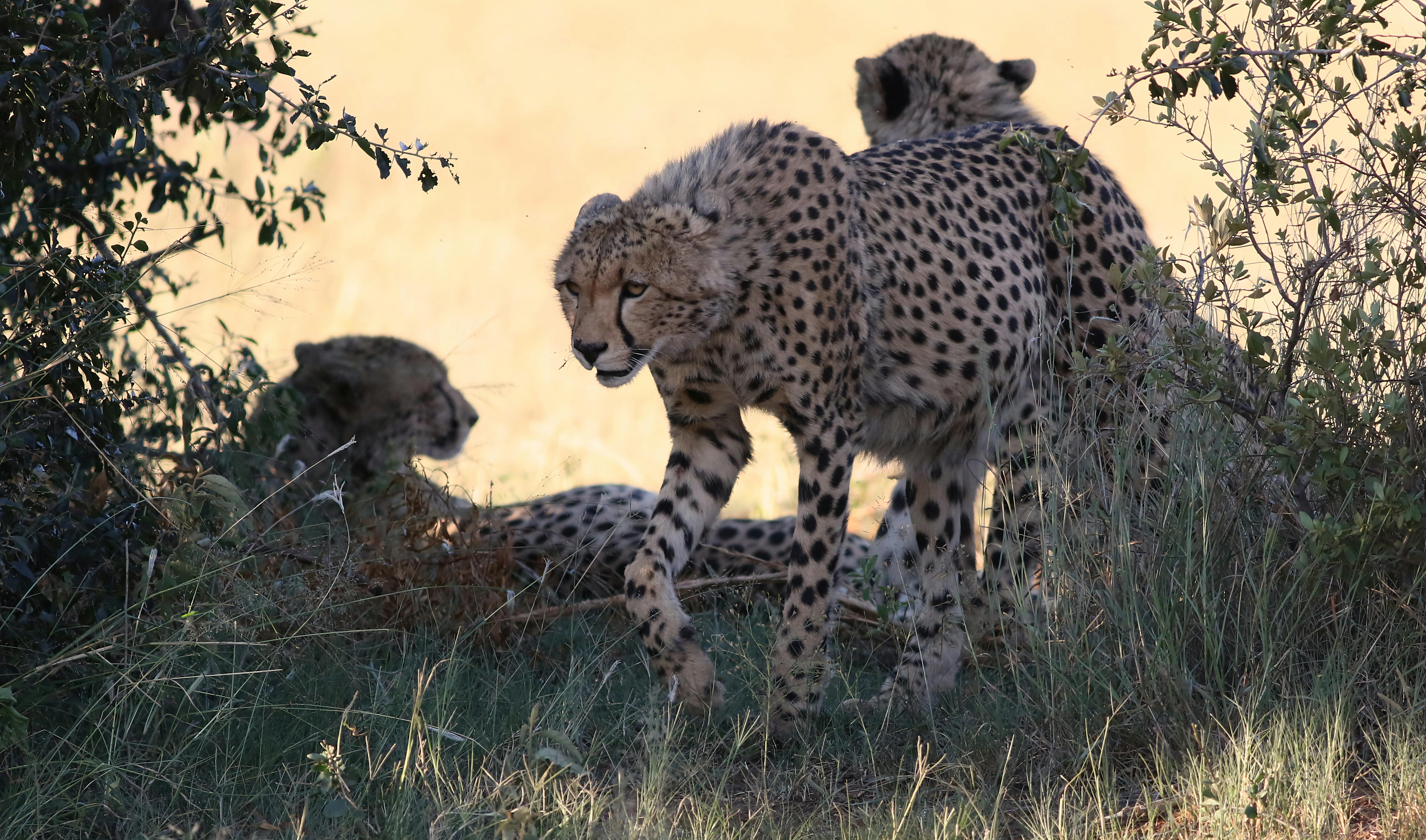 Mahikeng's Community Health Workers Bridge the Clinic Gap