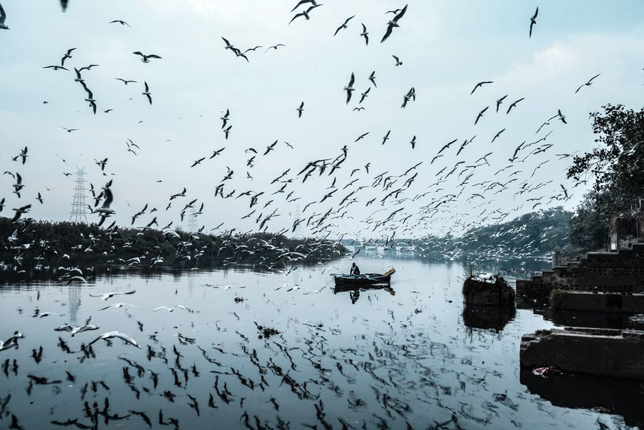 A tranquil scene of birds in flight over a calm river with a lone boat, capturing nature's beauty.