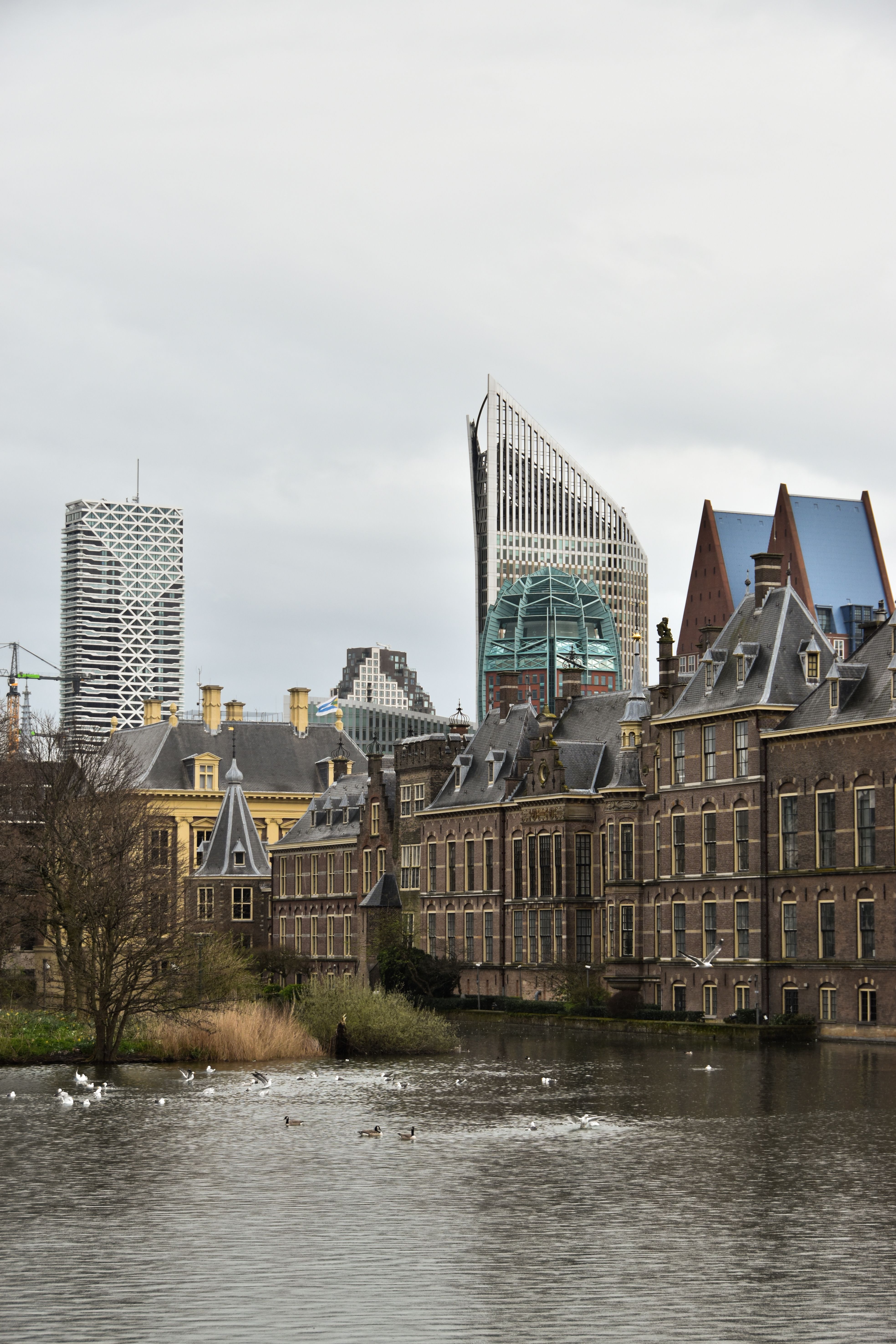 Een schilderachtig uitzicht op historische en moderne gebouwen aan het water in Den Haag.