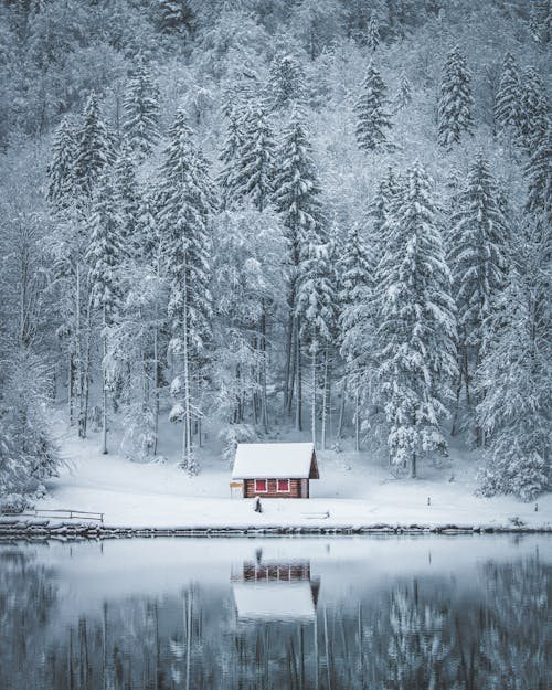免費 水體附近被雪覆蓋的房屋，田野和樹木 圖庫相片