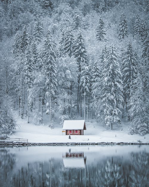 Maison, Champ Et Arbre Recouvert De Neige Près D'un Plan D'eau