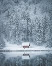 白雪覆盖的森林中，一座宁静的小屋倒映在冰冷的湖水里