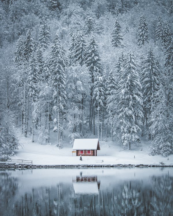 Haus, Feld Und Baum Mit Schnee Bedeckt In Der Nähe Von Gewässern