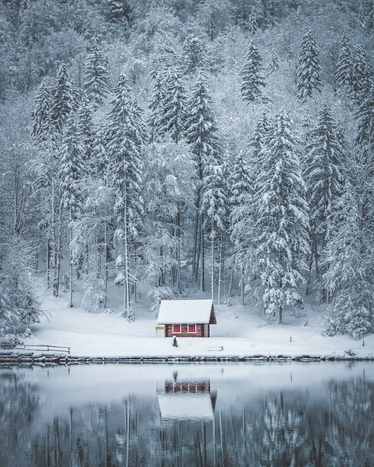 House, Field, And Tree Covered With Snow Near Body Of Water