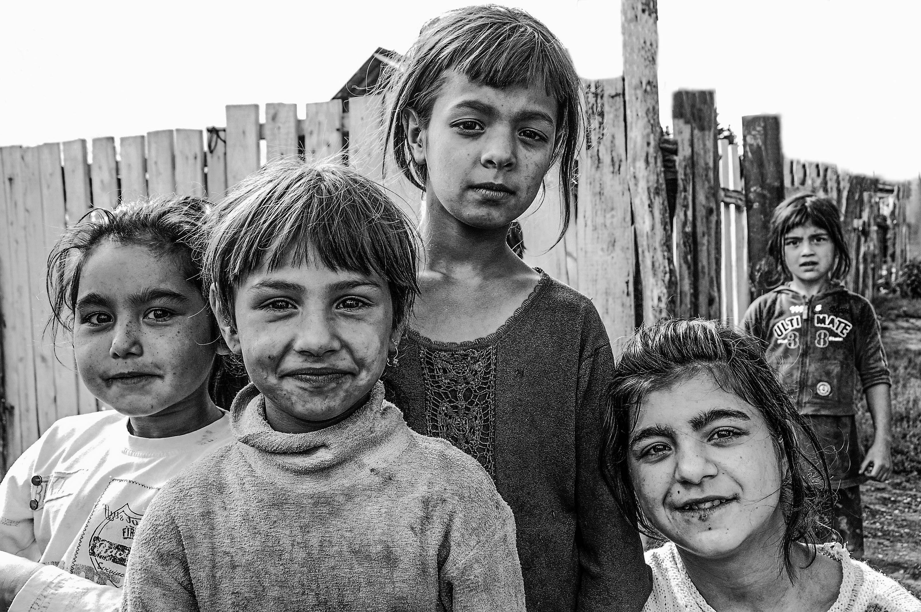 Greenlandic families fight to get children back after parenting tests banned — Photo by Bernie Andrew on Pexels
