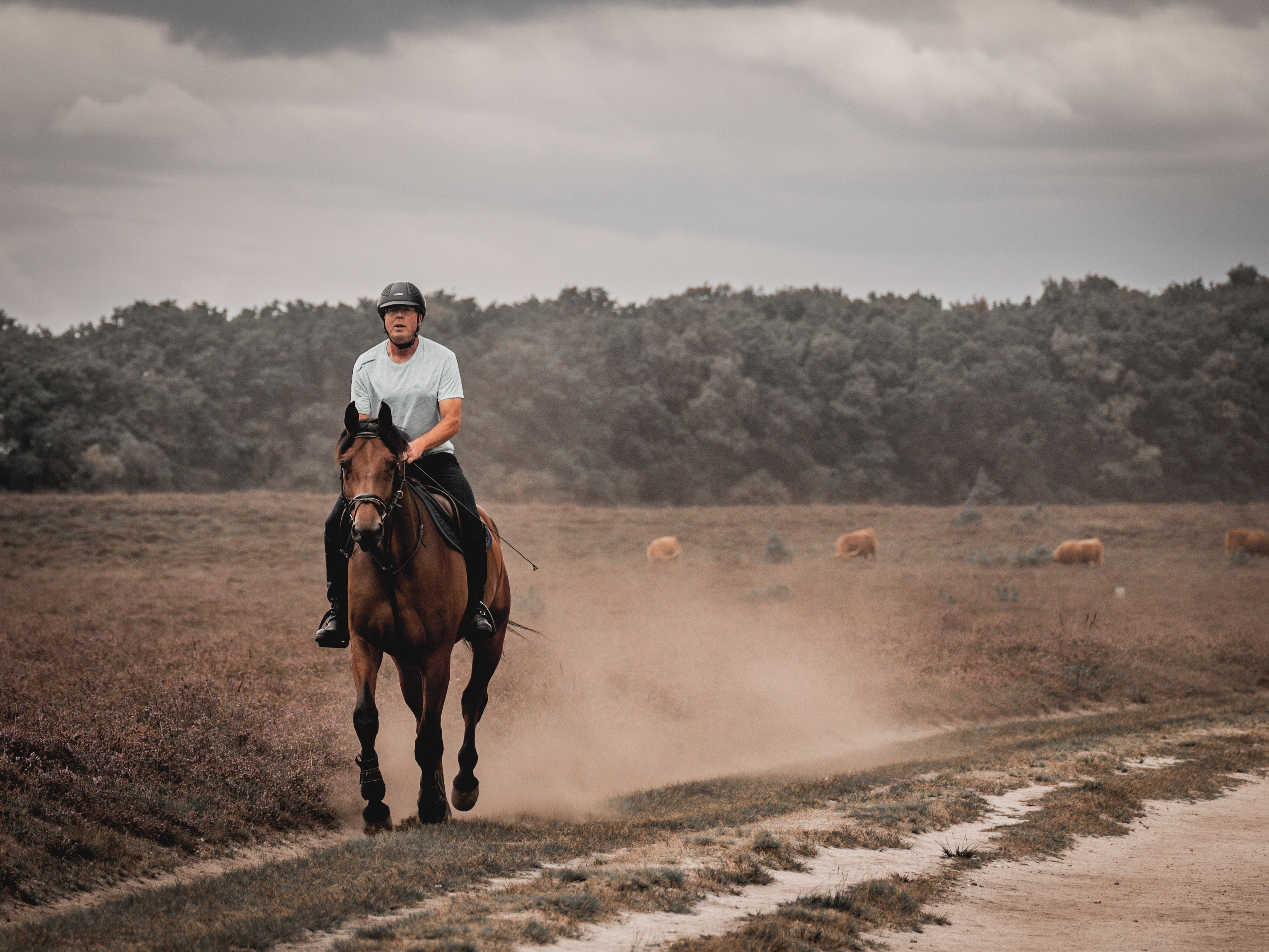 How Horseback Riding Builds Confidence in Children with Anxiety