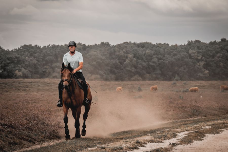 How Horseback Riding Builds Confidence in Children with Anxiety