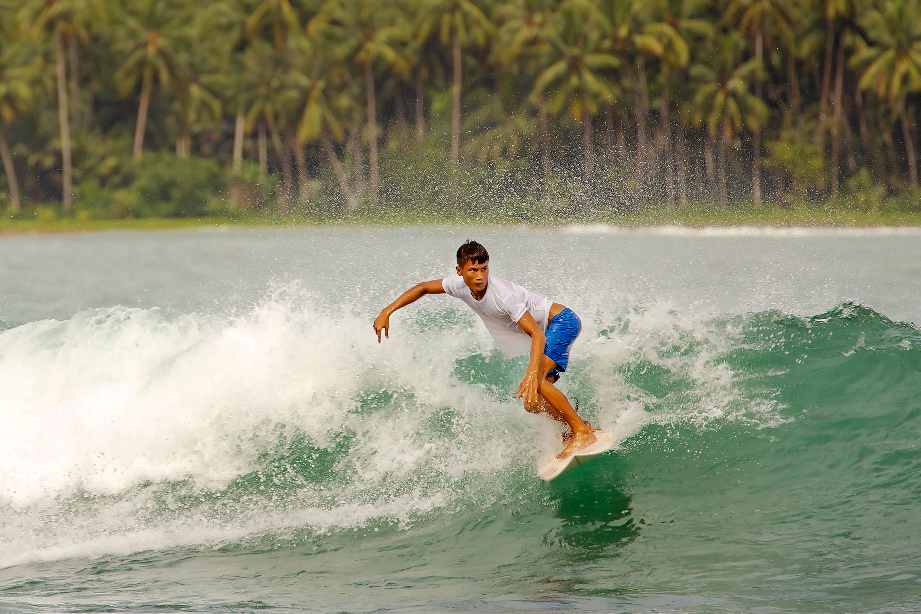 Surfing tropical Caribbean waves with palm trees