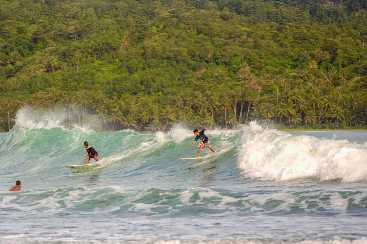 Surfers riding tropical waves with lush green vegetation in the background