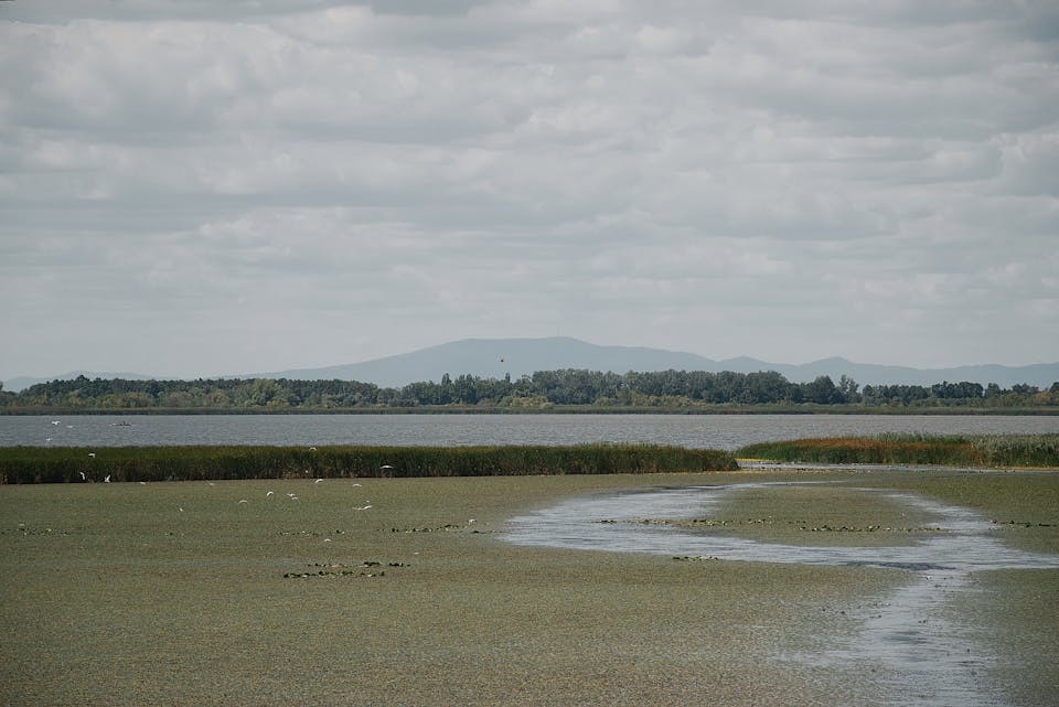 how-to-show-text-messages-on-lock-screen-with-customization