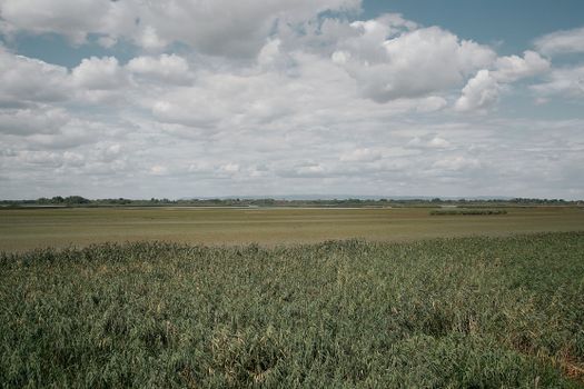 Expansive green fields and clouds in Hungary, providing a serene and natural landscape view.