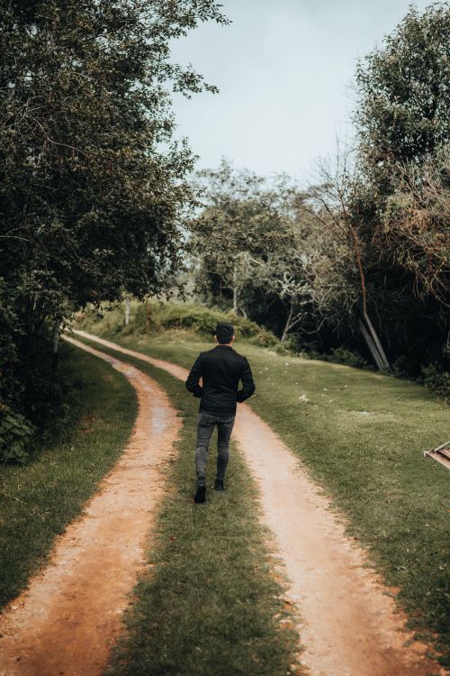 Man Walking on a Path in a Forest · Free Stock Photo