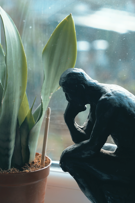 Far From Value-Free: How a Value-Centered Scientific Pluralism Bolsters the Cognitive Credentials of Science
