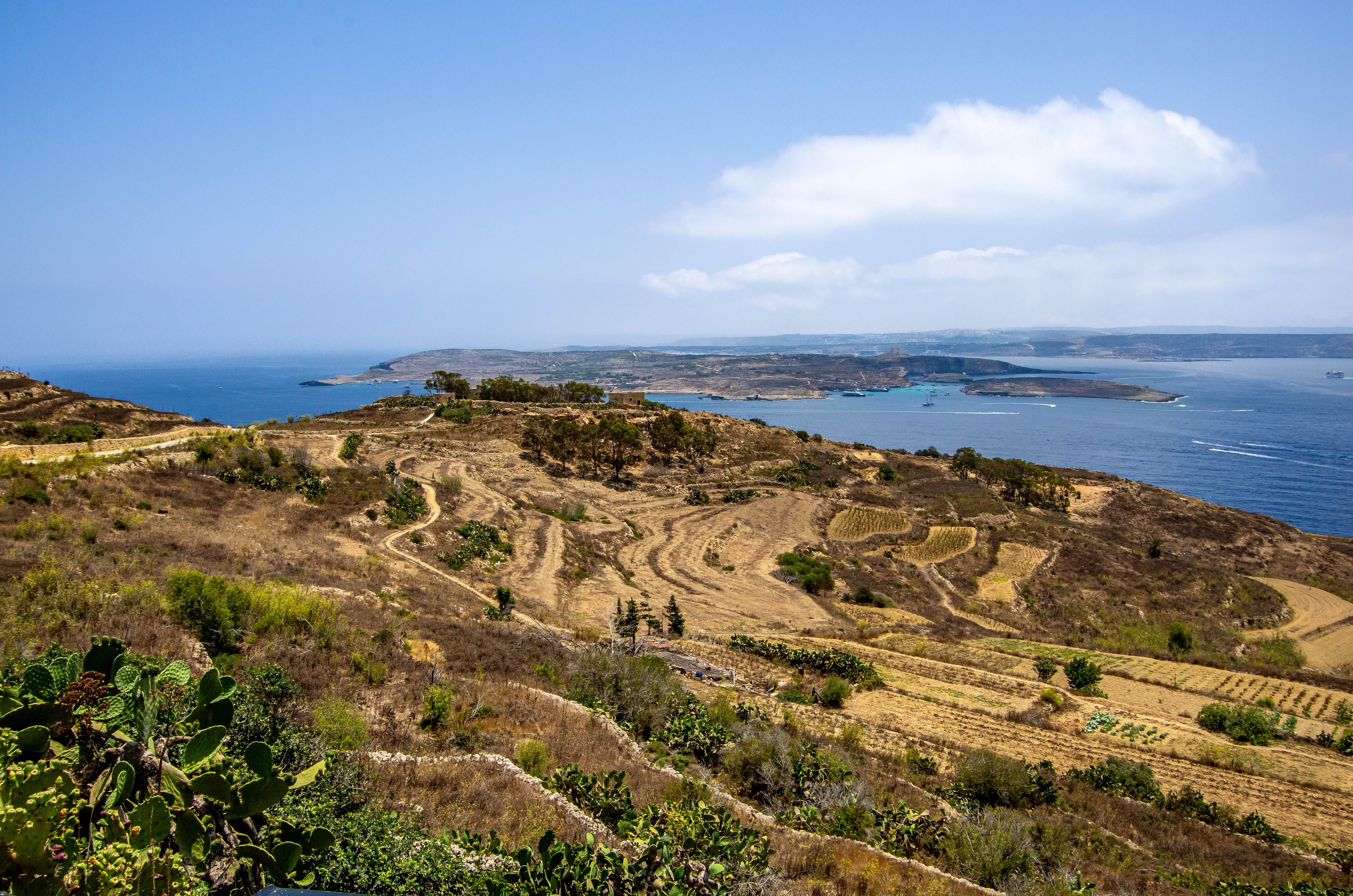 Comino