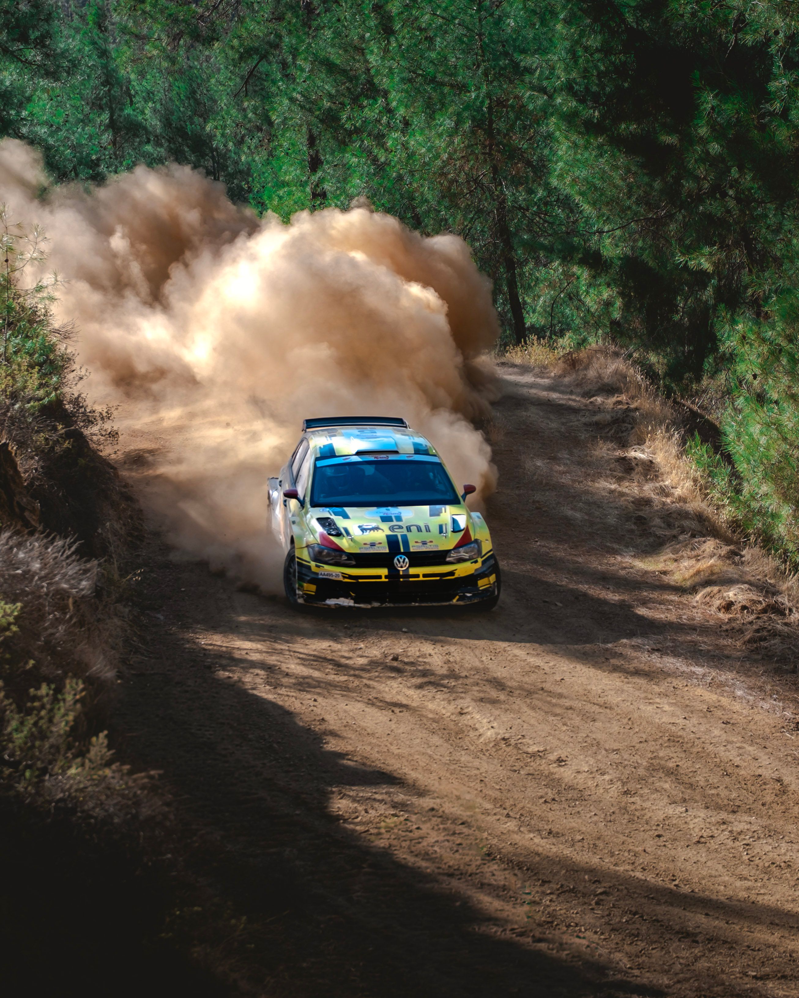 Exciting Rally Car Kicking Up Dust on Forest Trail · Free Stock Photo