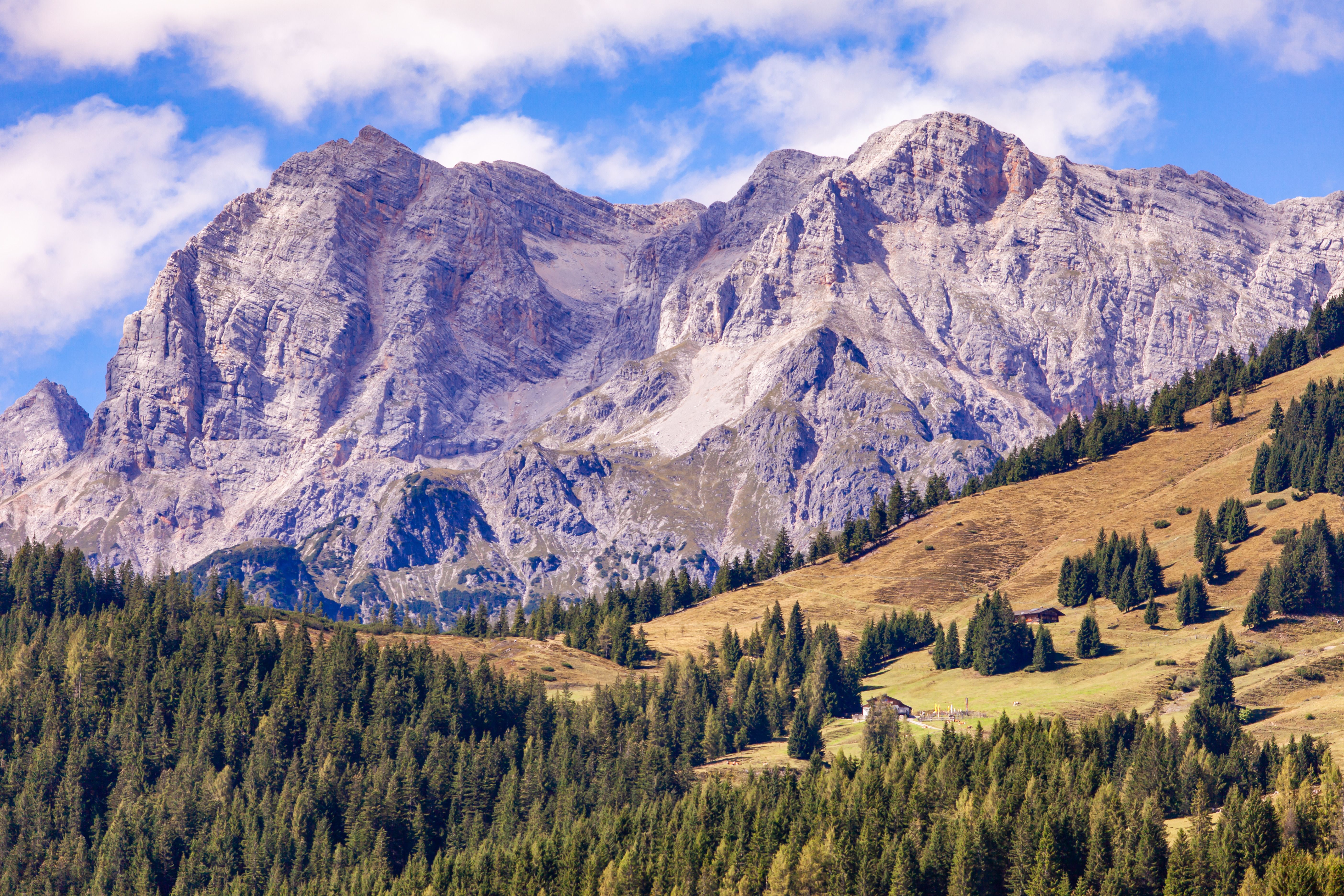 Majestic Alpine Mountain Landscape with Forest · Free Stock Photo