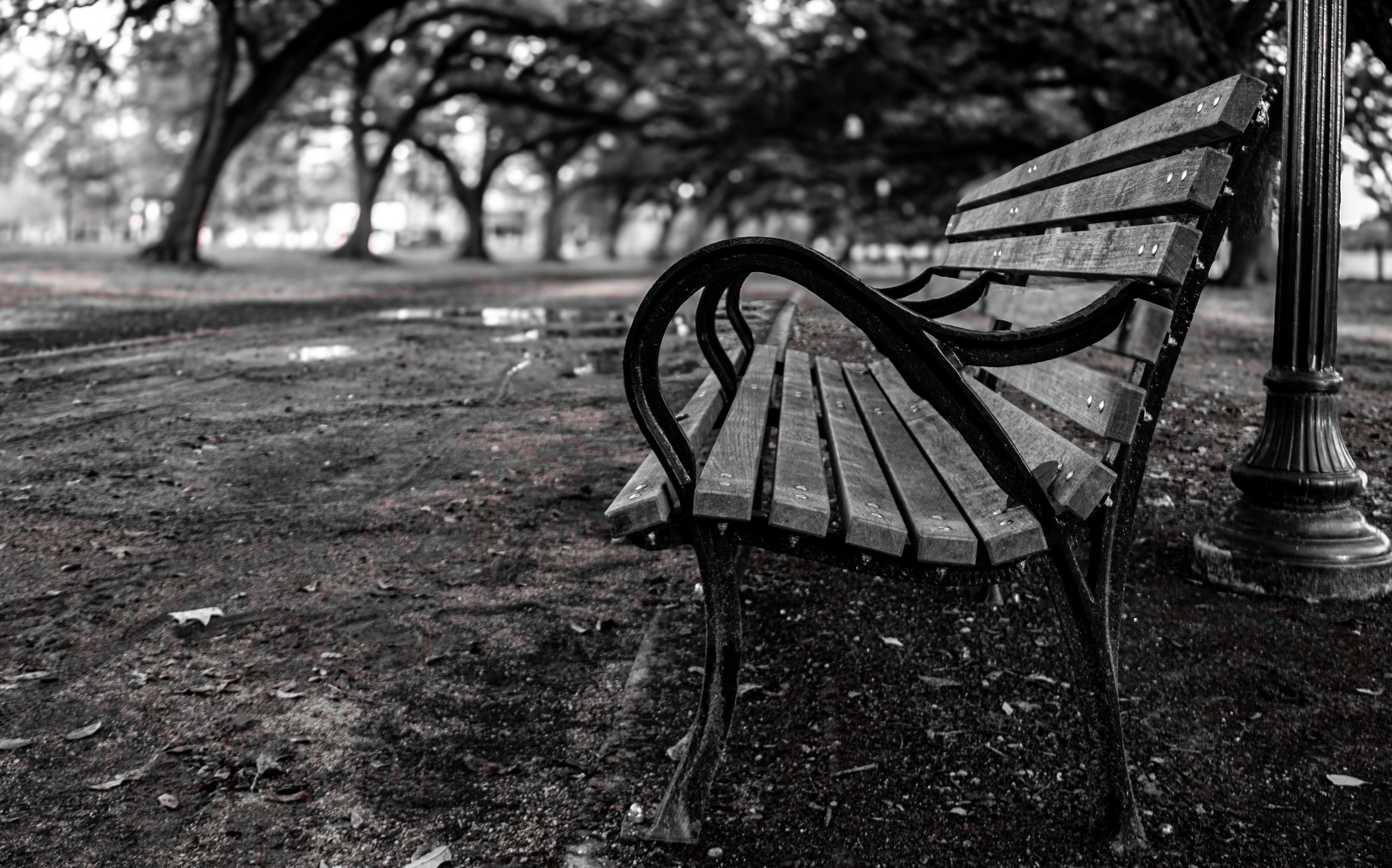 Houston lawyer guide: Who can give free legal help, advice — Photo by Hannibal Photography on Pexels