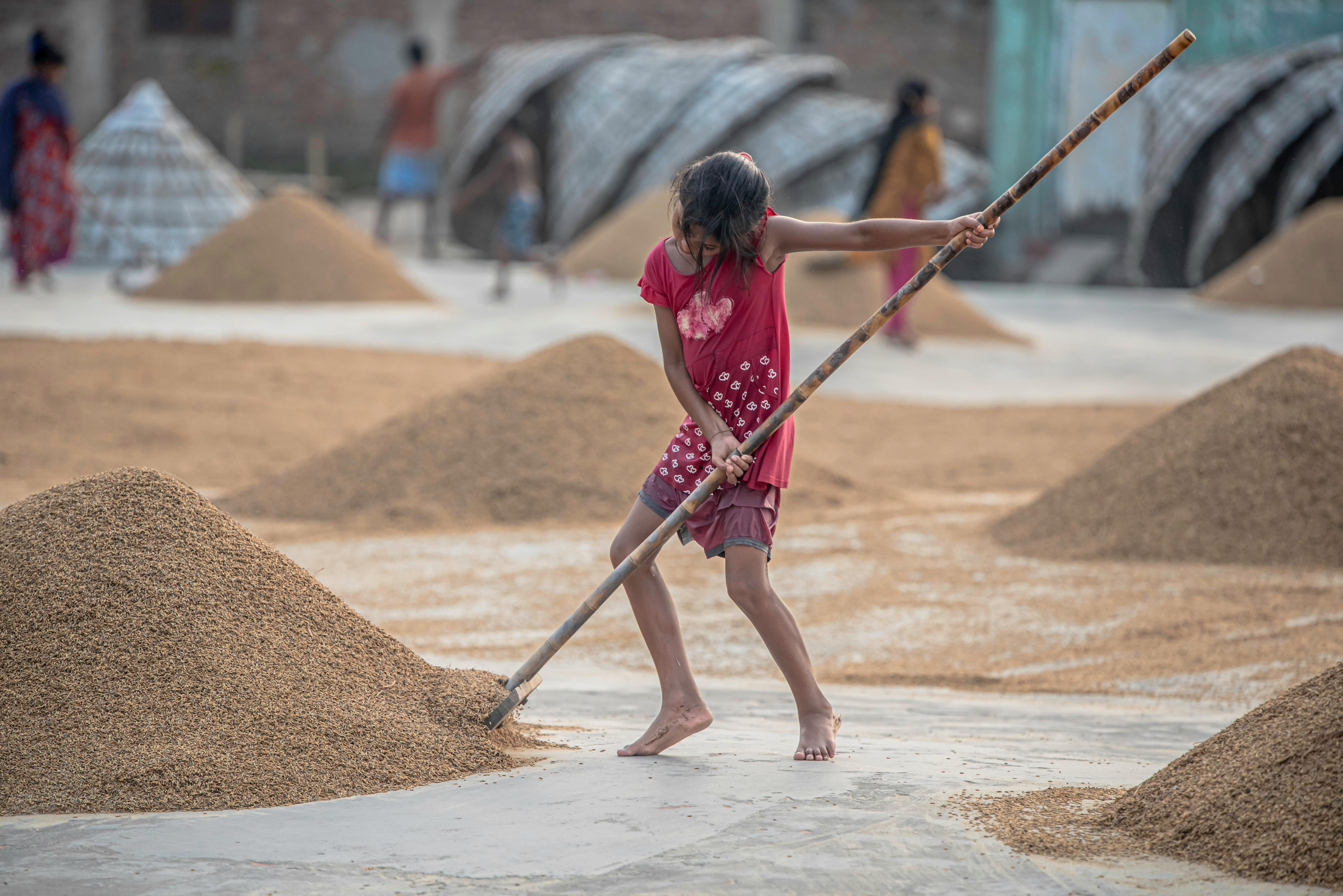 process optimization resource allocation — Photo by Rakibul alam khan on Pexels