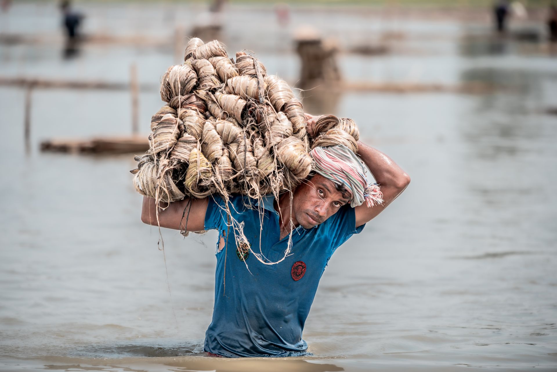Man laboring in water, carrying bundles of jute on his shoulders showcasing rural life.