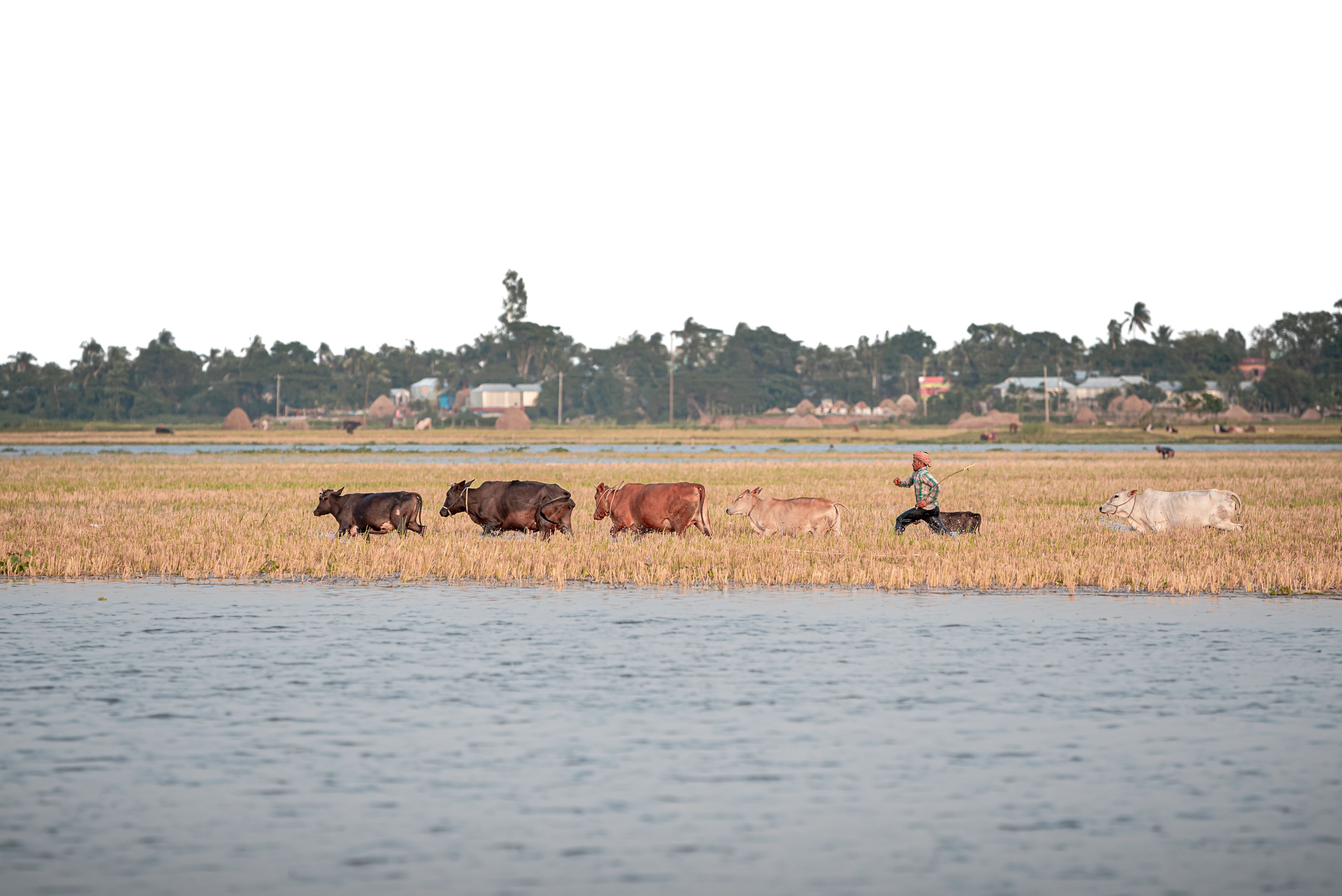 Farmers Business Insurance Review 2026: Nothing Special for Business Owners — Photo by Rakibul alam khan on Pexels