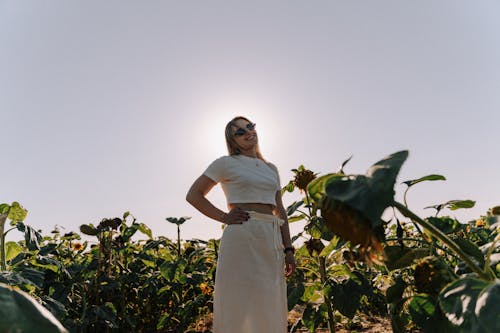 Smiling woman in a sunflower field with sun halo creating a vibrant and serene summer scene.