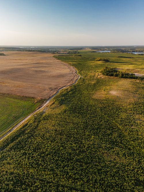 Free A stunning aerial view capturing the diverse countryside landscape with fields and forest in harmony. Stock Photo