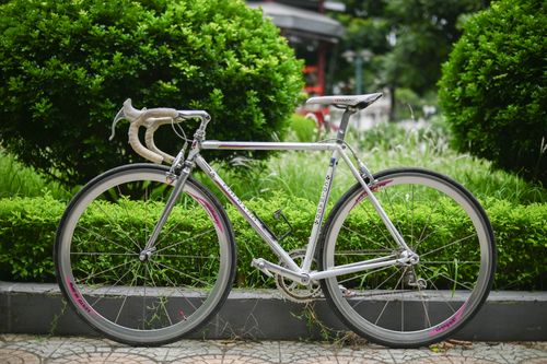 Free A classic road bicycle parked in an outdoor park with lush green bushes and a paved walkway. Stock Photo